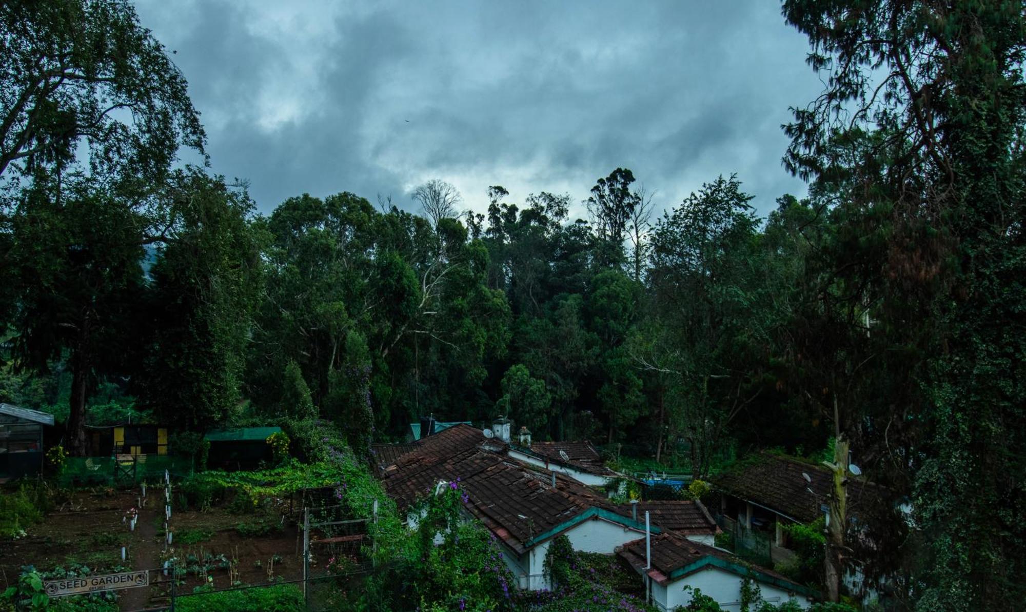 Treebo Kodai Kings Park, 650 M From Kodai Lake Kodaikanal Ngoại thất bức ảnh